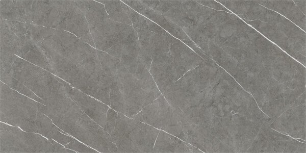 Eternal Dark Natural 60x120 R