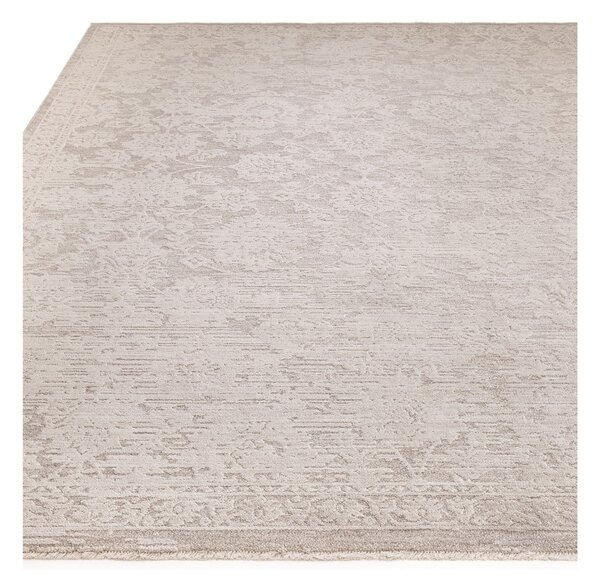 Béžový koberec 240x320 cm Laurent Beige Natural – Asiatic Carpets