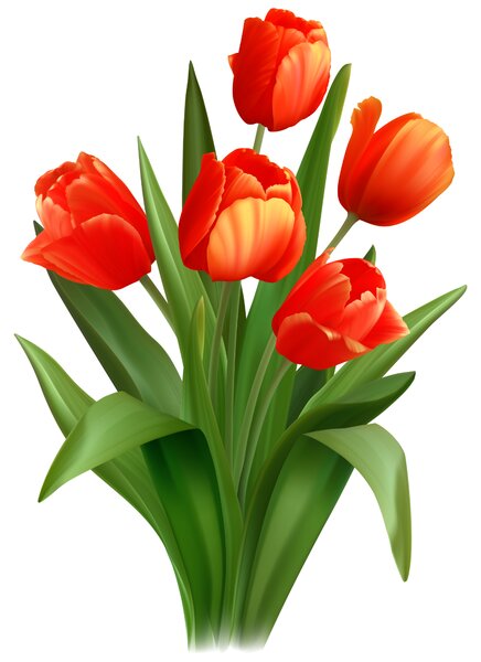 10x10cm Červené tulipány - nálepka nad vypínač