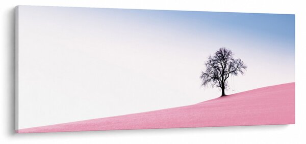 Obraz - Ružový sen (120x50 cm)