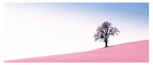 Obraz - Ružový sen (120x50 cm)