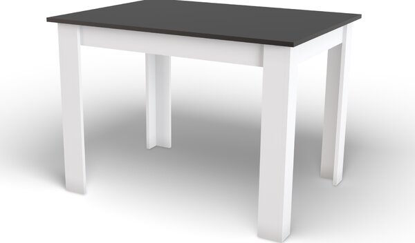 Dekorstudio Jedálenský stôl SCANDI 120x80cm - Bielo čierny