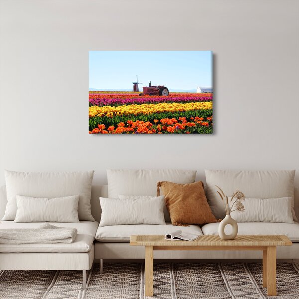 Obraz tulipánové farmy (90x60 cm)