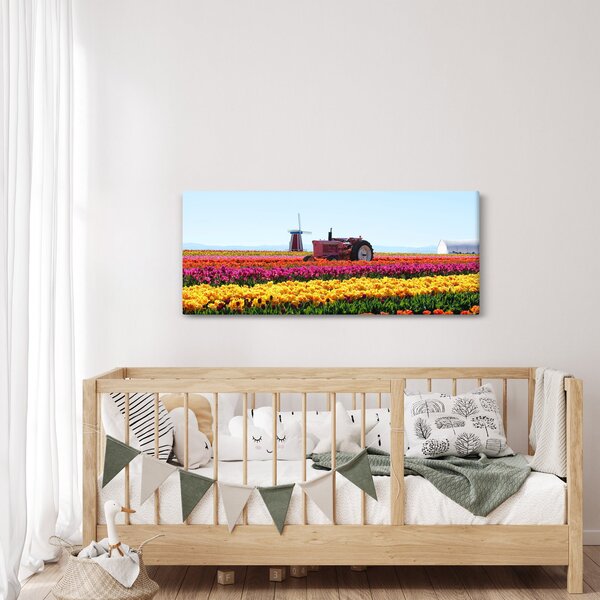 Obraz tulipánové farmy (120x50 cm)