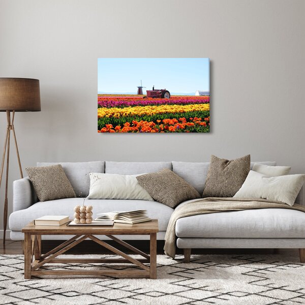 Obraz tulipánové farmy (90x60 cm)