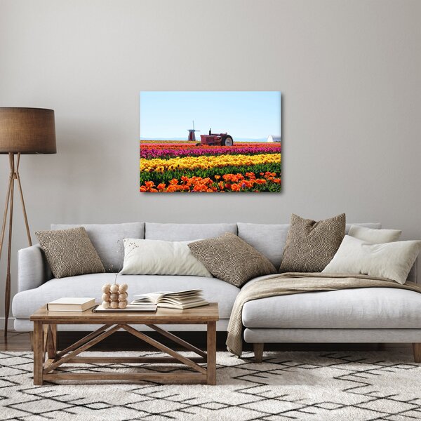 Obraz tulipánové farmy (70x50 cm)