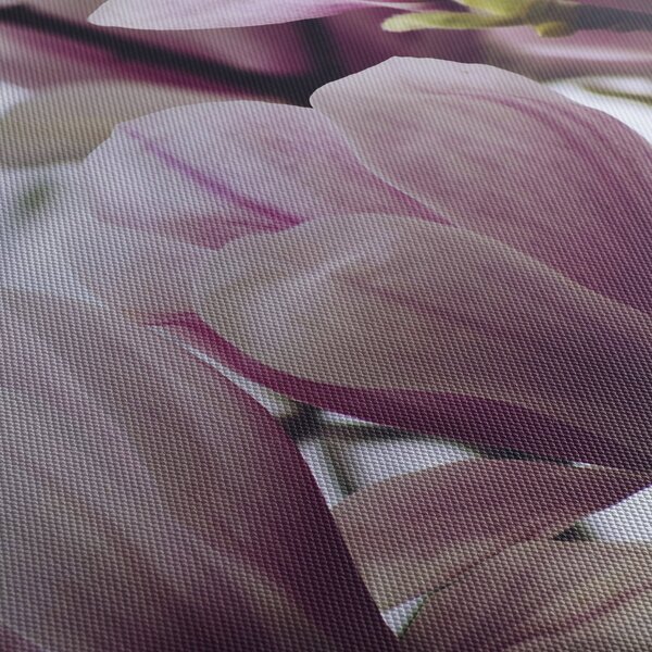 Obraz - Magnolie (120x50 cm)