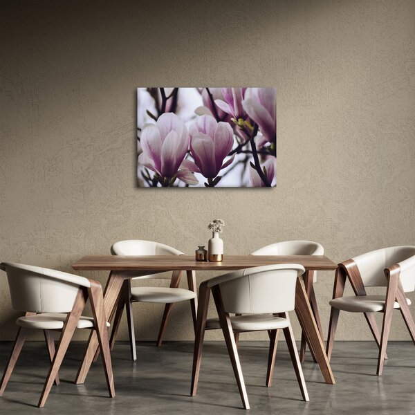 Obraz - Magnolie (70x50 cm)