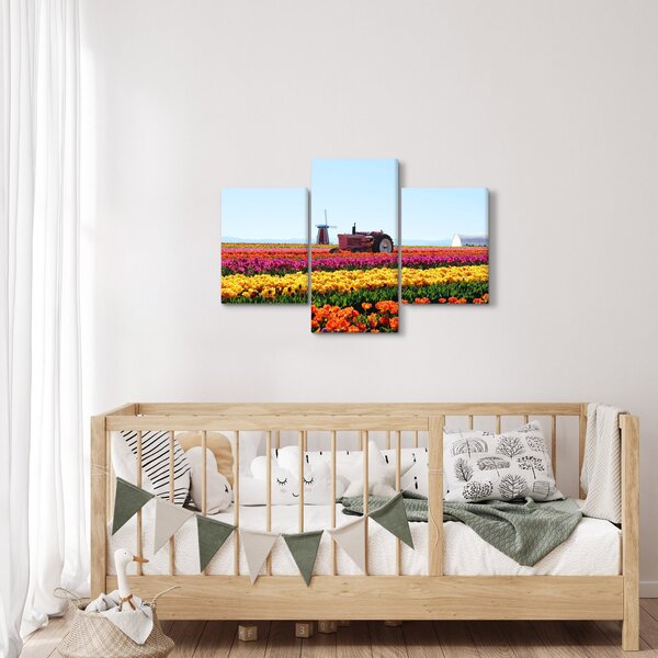 Obraz tulipánové farmy (90x60 cm)
