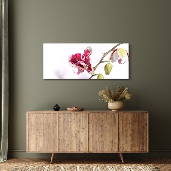 Obraz kvetu orchidey (120x50 cm)