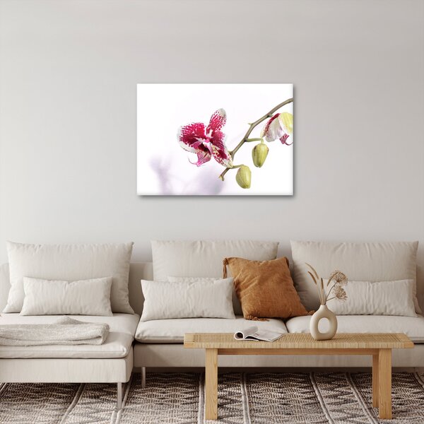 Obraz kvetu orchidey (70x50 cm)