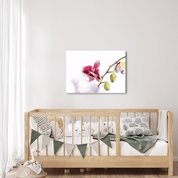 Obraz kvetu orchidey (70x50 cm)