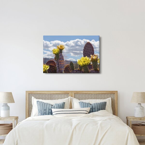 Obraz opuncie (90x60 cm)