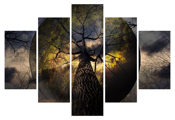 Obraz - Záhadné nebo (150x105 cm)