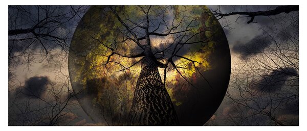 Obraz - Záhadné nebo (120x50 cm)