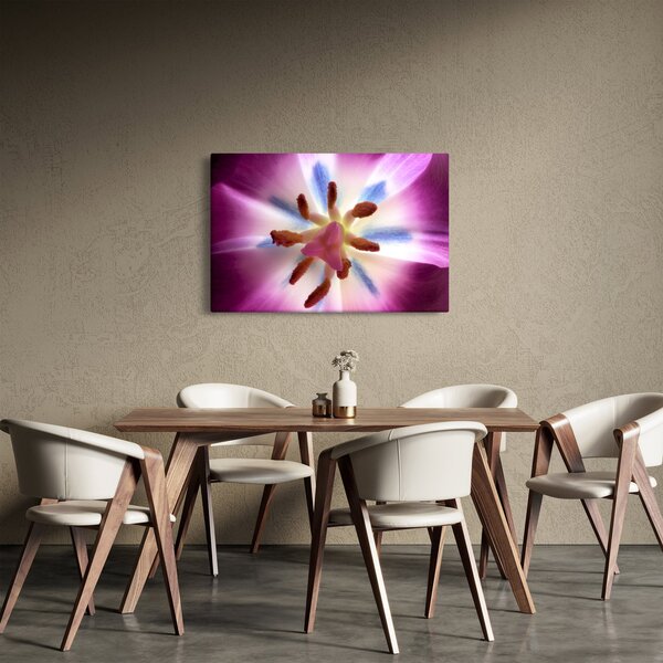 Obraz - Kvet tulipánu v detailu (90x60 cm)