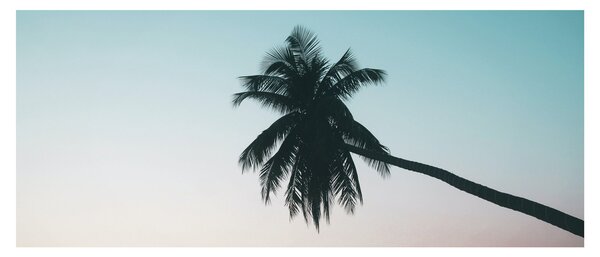Obraz - Palma na Bali (120x50 cm)
