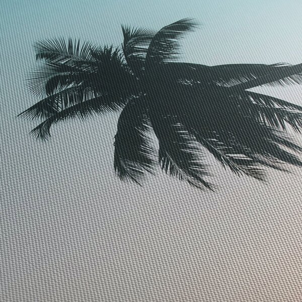 Obraz - Palma na Bali (90x60 cm)