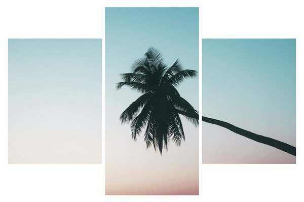 Obraz - Palma na Bali (90x60 cm)