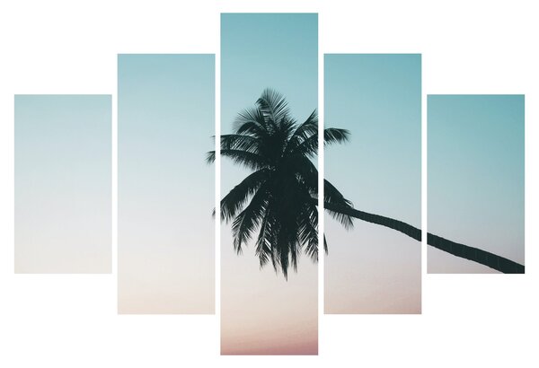 Obraz - Palma na Bali (150x105 cm)