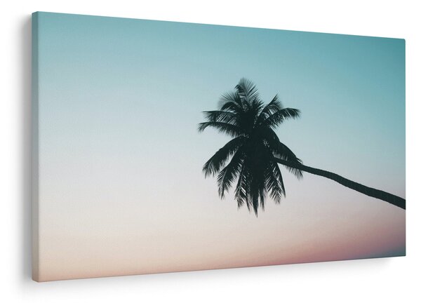 Obraz - Palma na Bali (90x60 cm)