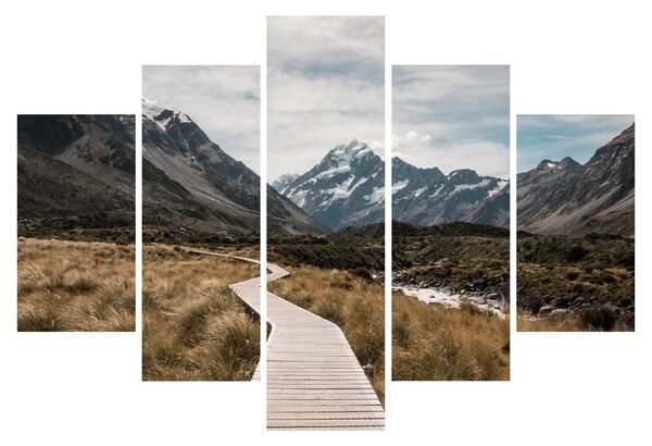 Obraz - Chodník v údolí hory Mt. Cook (150x105 cm)