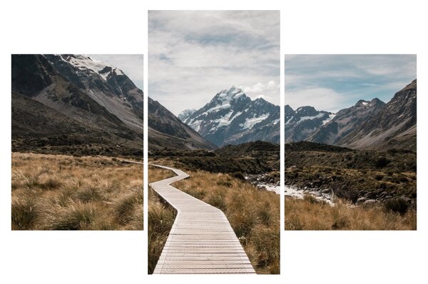 Obraz - Chodník v údolí hory Mt. Cook (90x60 cm)