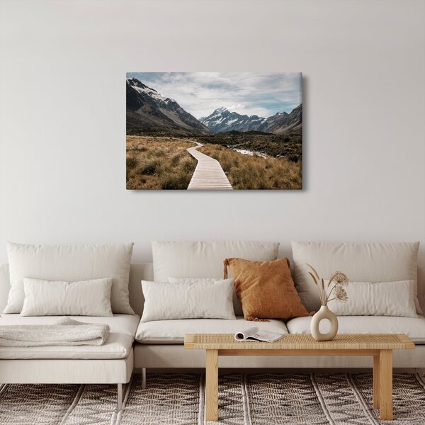 Obraz - Chodník v údolí hory Mt. Cook (90x60 cm)