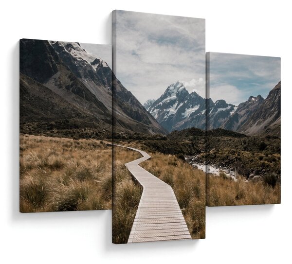 Obraz - Chodník v údolí hory Mt. Cook (90x60 cm)