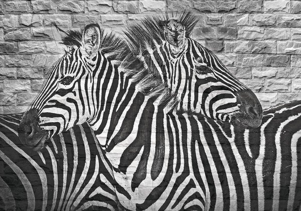 Fototapeta - Maľované zebry na tehlovú stenu (152,5x104 cm)