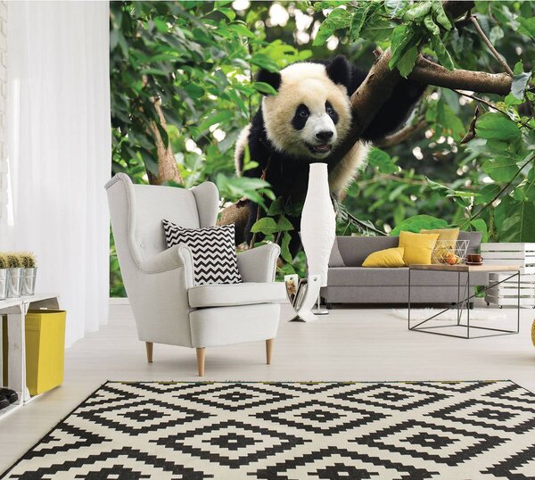Fototapeta - Panda na strome (152,5x104 cm)