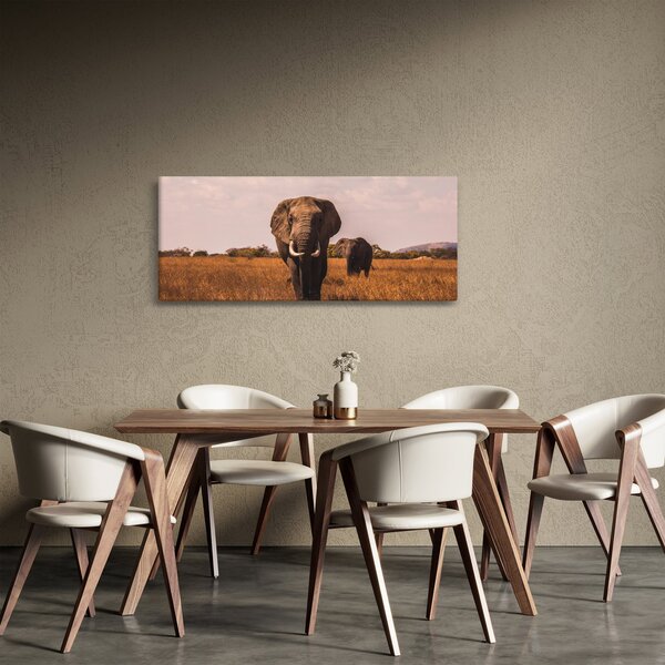 Obraz - Príchod slona (120x50 cm)
