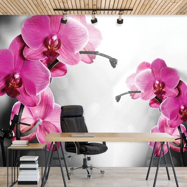 Fototapeta - Orchidey (152,5x104 cm)