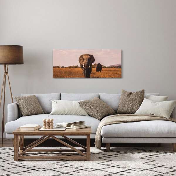 Obraz - Príchod slona (120x50 cm)