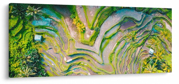 Obraz ryžových polí z vtáčej perspektívy (120x50 cm)