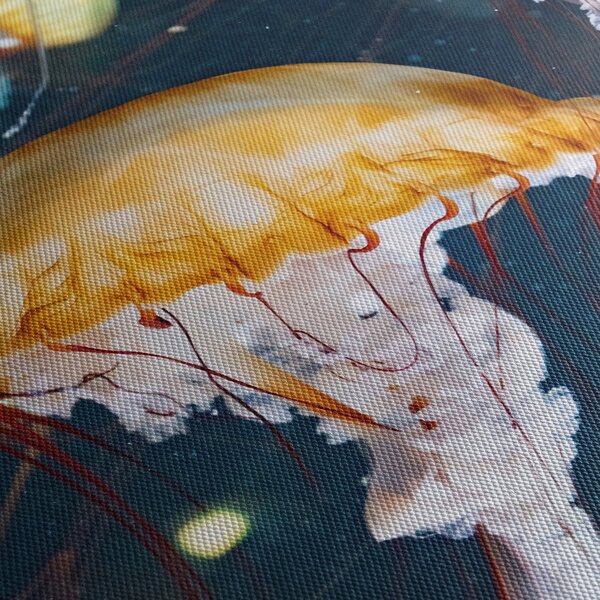 Obraz medúzy (120x50 cm)