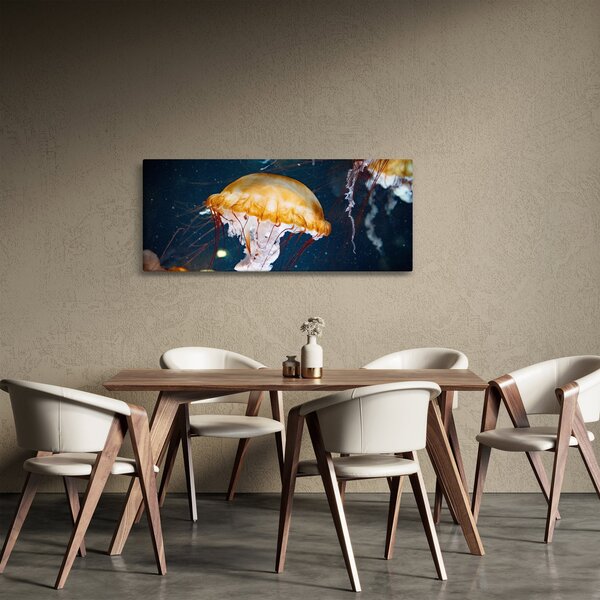 Obraz medúzy (120x50 cm)