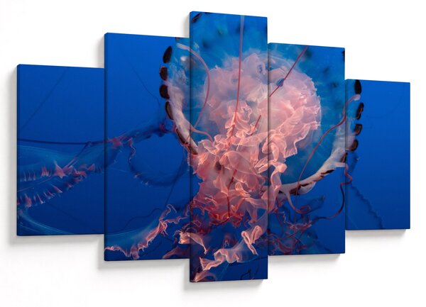Obraz medúzy (150x105 cm)