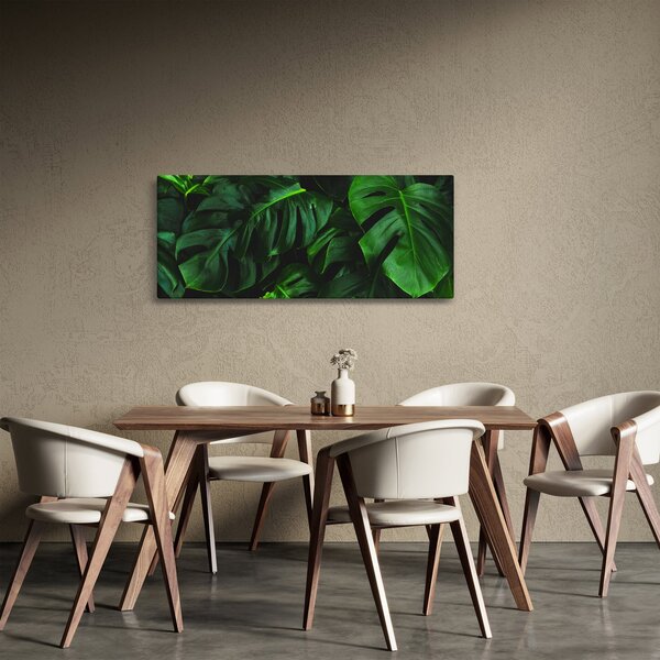 Obraz listov Monstery (120x50 cm)