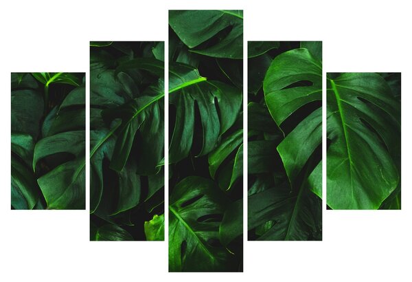 Obraz listov Monstery (150x105 cm)