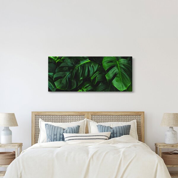 Obraz listov Monstery (120x50 cm)