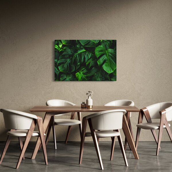 Obraz listov Monstery (90x60 cm)