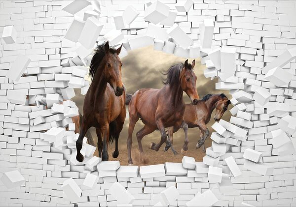 Fototapeta - 3D kone v stene (152,5x104 cm)