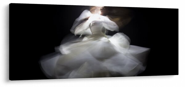 Obraz kvetu lotosu (120x50 cm)
