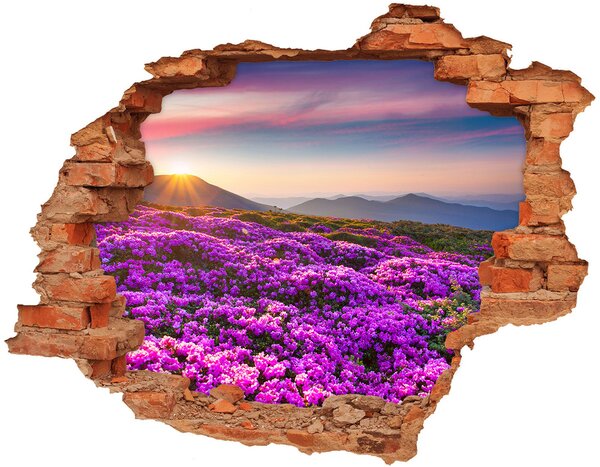 Nálepka diera na stenu Kvety v horách nd-c-70454274
