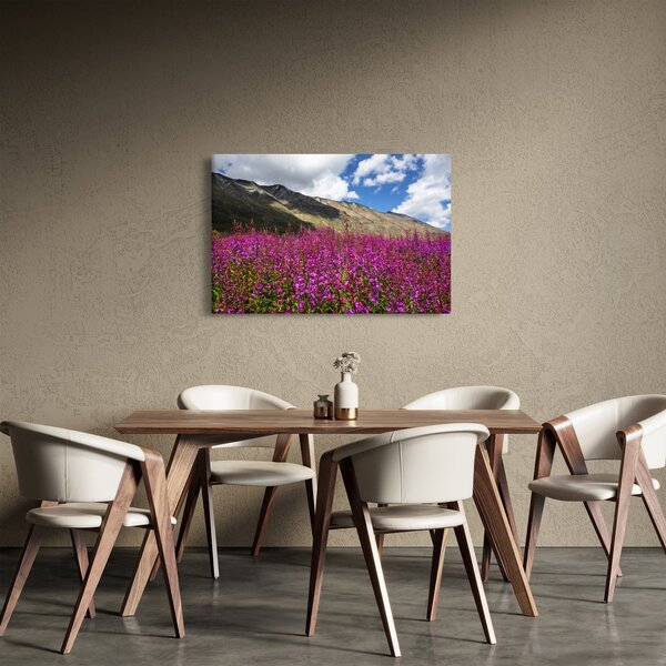 Obraz scenérie horské lúky (90x60 cm)