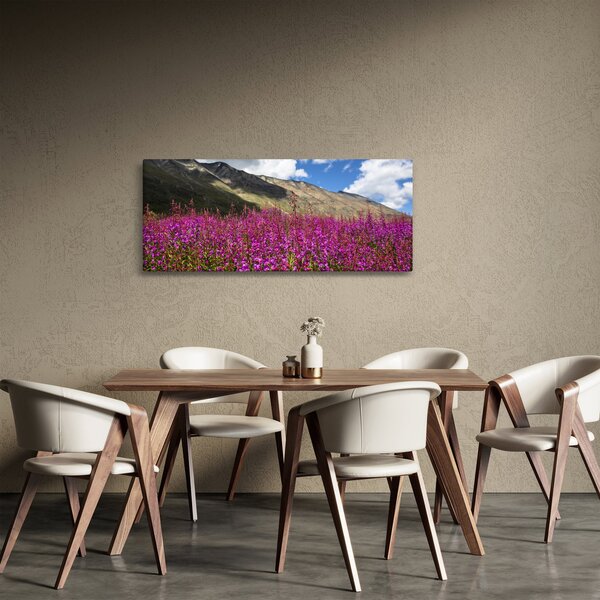 Obraz scenérie horské lúky (120x50 cm)