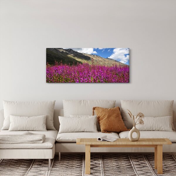 Obraz scenérie horské lúky (120x50 cm)