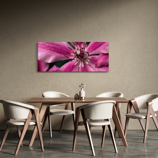 Obraz ružového kvetu plamienku (120x50 cm)