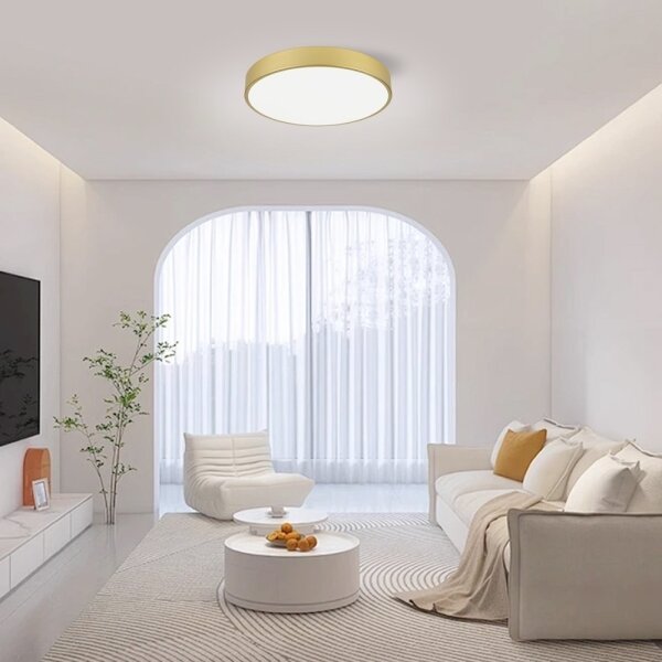 Immax NEO 07292L - LED+CCT stmievateľné stropné svietidlo SEMPLICI 36W/230V pr. 40 cm+DO